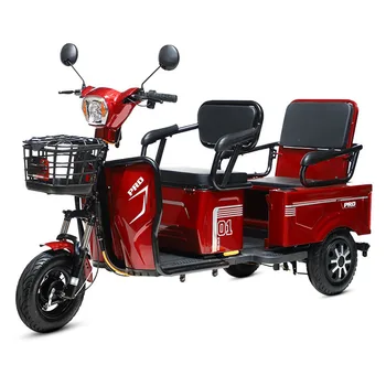 600/800/1000w Elektrinis Triratis Dvejopo Naudojimo Motorinis trirates Traukti Prekių dviejų eilių Cross-country Baterija Pedicab Nuotrauka